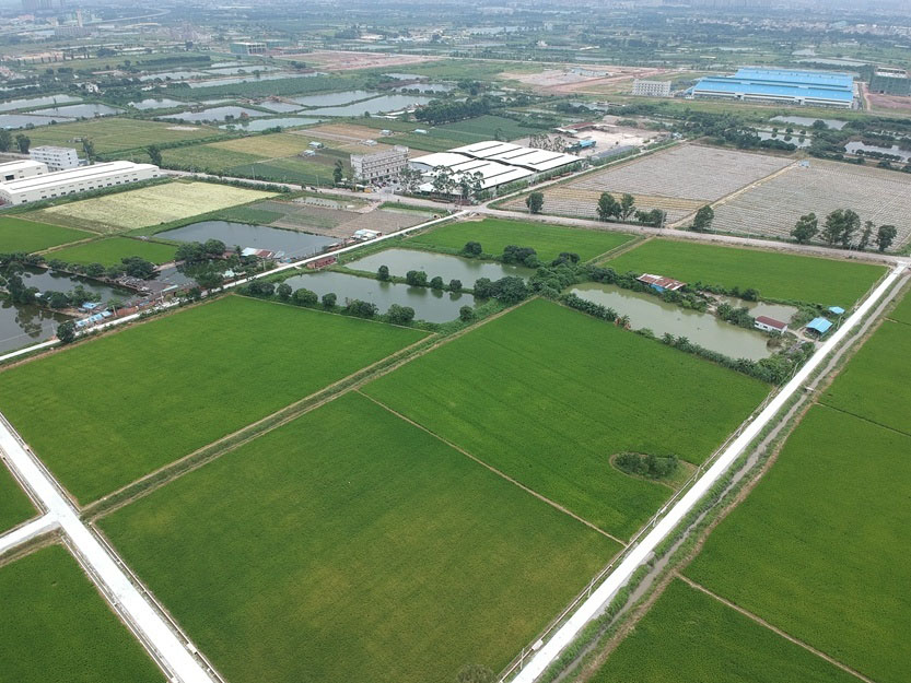 博羅縣石灣鎮(zhèn)鐵場村、白沙村現(xiàn)有耕地提質(zhì)改造項(xiàng)目